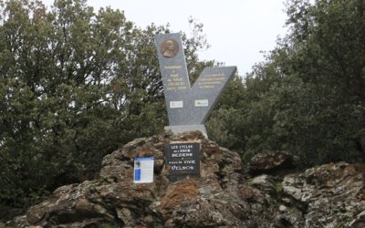 Concentration Nationale Vélocio